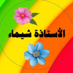 أستاذة شيماء